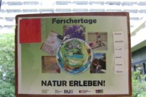Forschertage