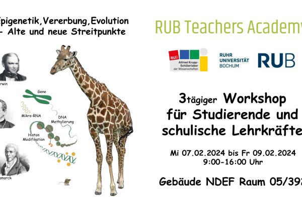 Flyerlehrkraefte2024