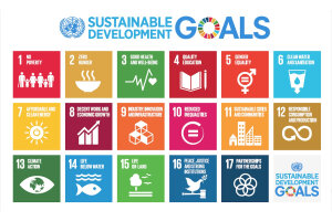 SDGs in Action!