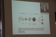 Abbildung der Reprogrammierung von Fibroblasten zu induzierten pluripotenten Stammzellen (iPSZ) und gezielte Differenzierung zu Neuronen, Astrozyten und Oligodendrozyten (Quelle: M. Kandasamy)