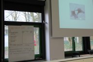 Die praktischen Arbeiten im Labor und Abbildung eines Fibroblasten